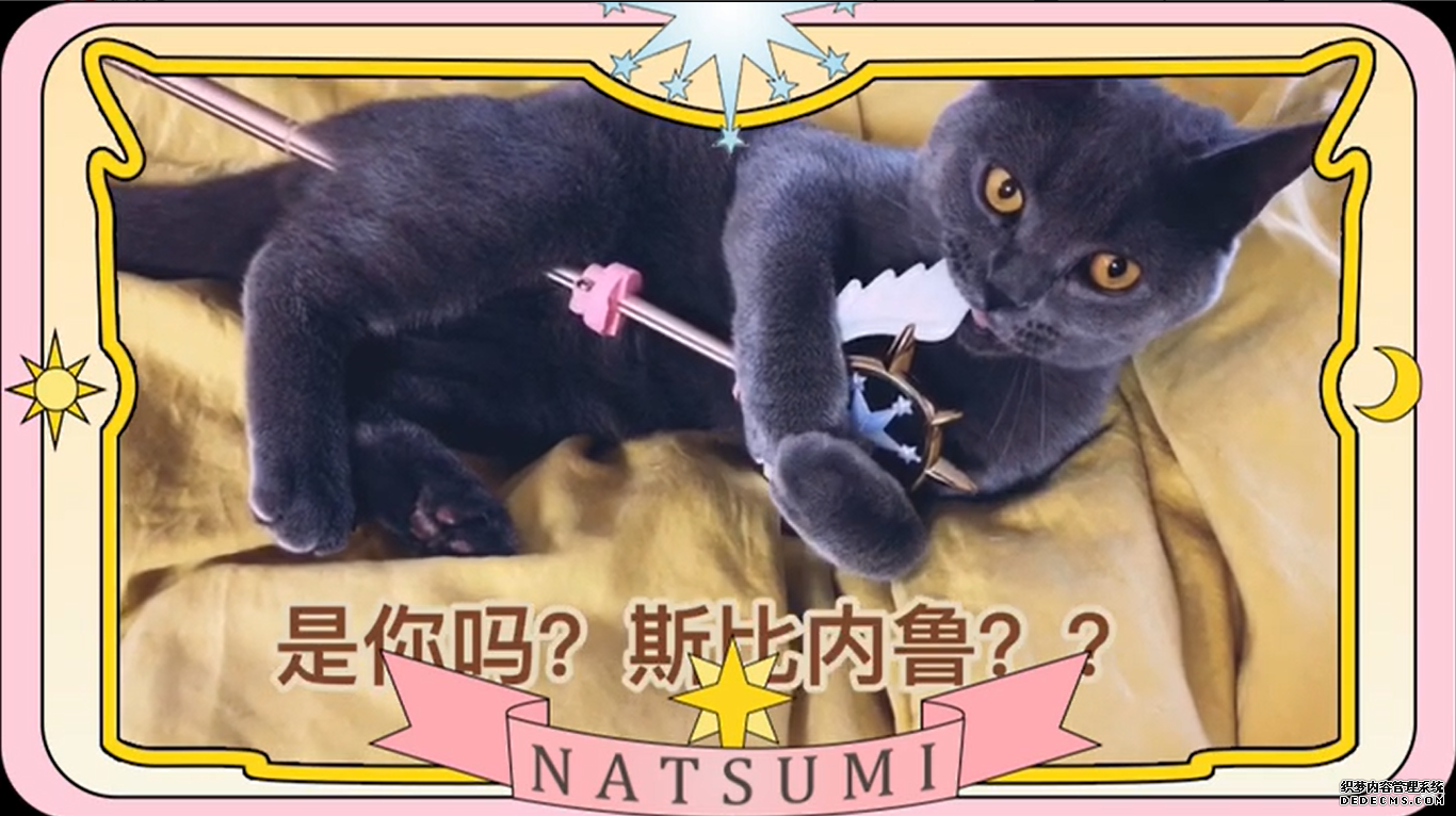 ԪŮħŮͼT9ħŮӣ