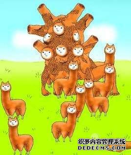 Ϸ8 Ϸȫ