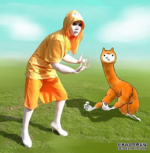 Ϸ8 Ϸȫ